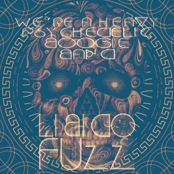 LIBIDO FUZZ - We're A Heavy Psychedelic Boogie Band - Vinyl